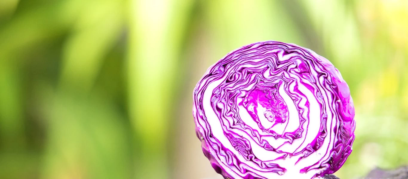 Ανθοκυανίνες: Η αντικαρκινική τους δράση και πού θα τις βρείτε